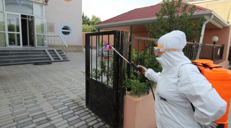 Uşaq bağçaları qızılcaya görə dezinfeksiya OLUNURMU? – Rəsmi AÇIQLAMA 