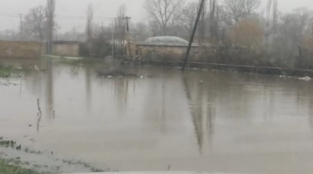 Xaçmazın Tel kəndində sel suları evlərin həyətyanı sahələrinə doldu - FOTO