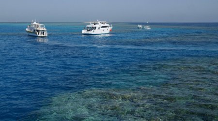 Artıq üçüncü böyük şirkət Qırmızı dənizdə daşımaları DAYANDIRDI