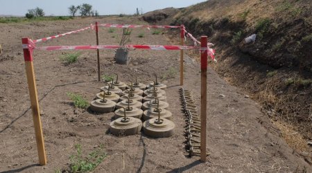 Azad edilmiş ərazilərdə aşkarlanan minalarla bağlı illik statistika AÇIQLANDI - FOTO