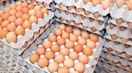 Türkiyə Rusiyaya yumurta GÖNDƏRDİ