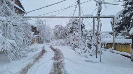 Lənkəranda qarın hündürlüyü 50 santimetrə çatır - FOTO