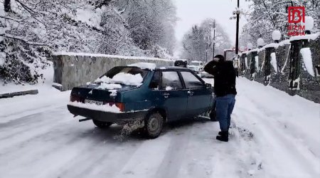 Qəbələdə qarlı havanın törətdiyi fəsadlar - FOTO/VİDEO