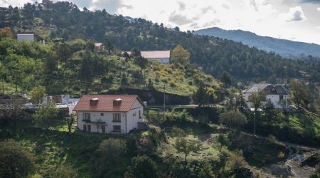 Laçında məşğulluğu təmin olunan sakinlərin sayı AÇIQLANDI 