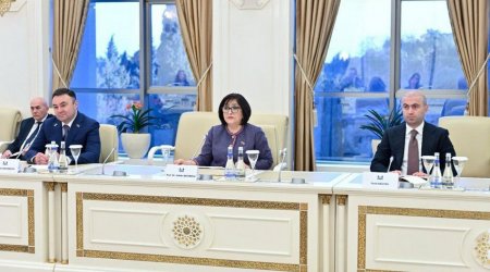 Sahibə Qafarova: “Fransa Cənubi Qafqazda sülhün əldə olunmasını istəmir”