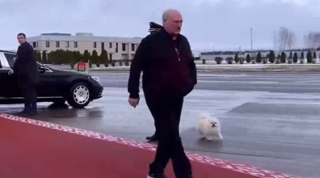 Lukaşenko Özbəkistana iti ilə birgə GETDİ – VİDEO 