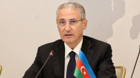 Nazir: “Xocalıda təbiətə dəyən ziyan hesablanır” 