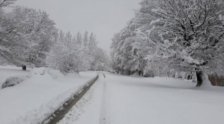 Azərbaycanda 9 dərəcəyədək şaxta olub – Faktiki hava