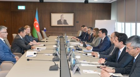 COP29 çərçivəsində AQEM-lə tərəfdaşlıq imkanları müzakirə edilib