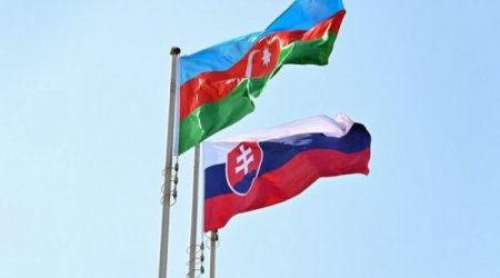 Azərbaycan Slovakiya ilə birgə silah istehsal EDƏCƏK 