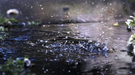 Sabahın hava proqnozu: yağış yağacaq, dolu düşəcək