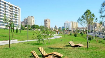 Bakının üç küçəsinin əhatəsində yeni park salınacaq