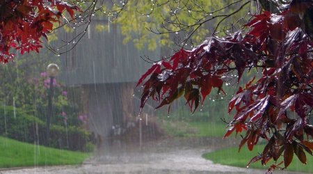 Qeyri-sabit hava şəraiti nə vaxta kimi davam edəcək?