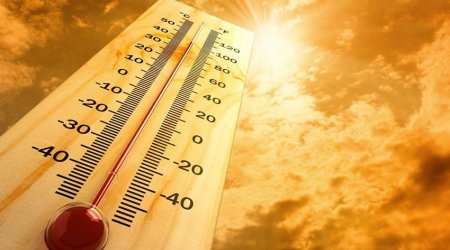 Bu ölkədə rekord istilər: Son həftədə 27 nəfər ölüb