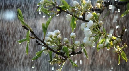 Ölkə ərazisində yağıntılı hava nə vaxtadək davam edəcək? 