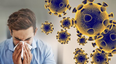 Koronavirus bu yay geri qayıdacaq?