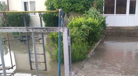 Zaqatalada 250-yə yaxın evin həyətyanı sahəsini sel suları basdı - FOTO