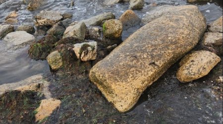 Nardaran çimərliyinin çirklənməsi ilə bağlı görüntülər ARAŞDIRILIB - FOTO