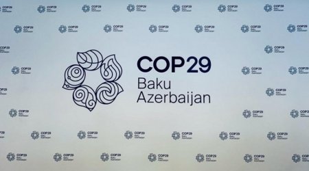 COP29 Könüllülük Proqramına qeydiyyat bu gün başa çatır