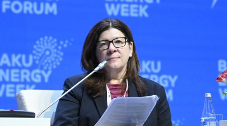 İqlim Dəyişikləri üzrə Mərkəz COP29 ilə bağlı gözləntilərini AÇIQLAYIB