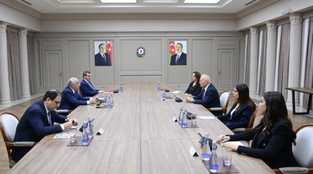 Əli Əsədov Şimali Kipr Türk Cümhuriyyəti Məclisinin sədri ilə görüşüb - FOTO