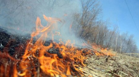 Füzulidə qamışdan hörülmüş köməkçi tikili YANIB