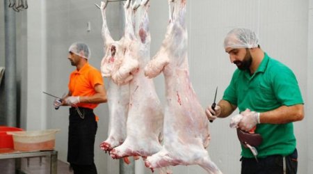 Qurbanlıq heyvanların satış və kəsim yerləri açıqlandı – SİYAHI/FOTO