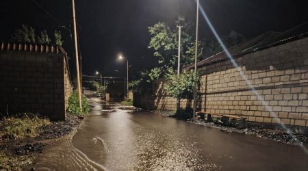 Leysan yağışları Qəbələdə də fəsadlar yaratdı - FOTO