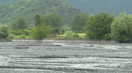 Zaqatalada 19 yaşlı gənc çayda necə BOĞULUB? - TƏFƏRRÜAT