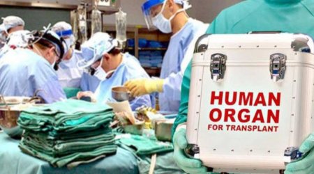 Bu il orqan transplantasiyasına icazə verilən əməliyyatların sayı AÇIQLANDI