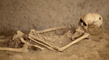 Laçında tikinti zamanı insan sümükləri aşkar edildi - VİDEO