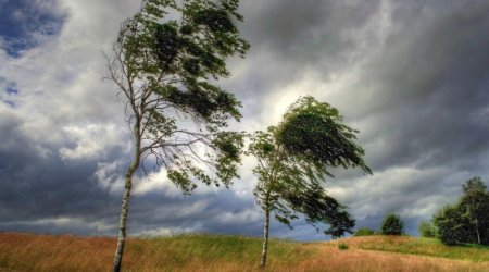 Küləkli hava şəraiti ilə bağlı sarı və narıncı XƏBƏRDARLIQ EDİLDİ - FOTO 