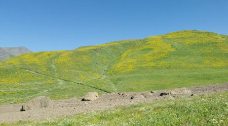 Qubada torpaq sürüşməsi səbəbindən Şahdağa gedən yol BAĞLANDI – FOTO