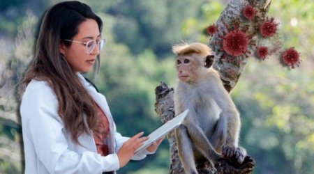 Dünyada tüğyan edən meymunçiçəyinə Azərbaycanda yoluxan VARMI? – Rəsmi AÇIQLAMA 