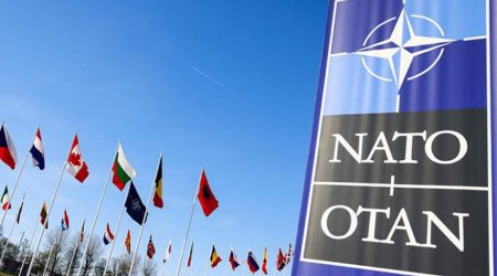 Vaşinqtonda NATO-ya qarşı etiraz - SƏBƏB