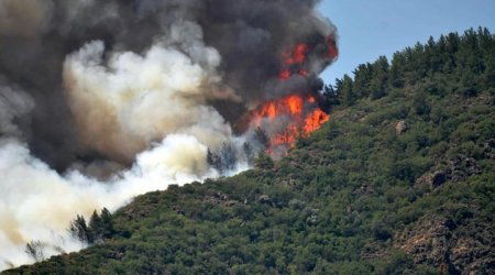 Manisada meşə yanıb, sakinlər təxliyə edilib