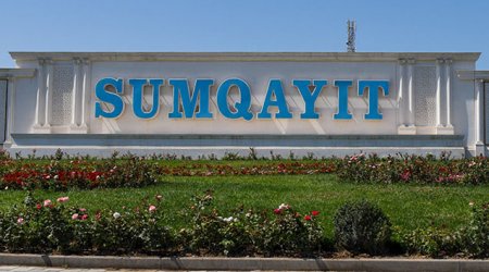 Sumqayıtda sahibsiz iti öldürən şəxs CƏRİMƏLƏNDİ