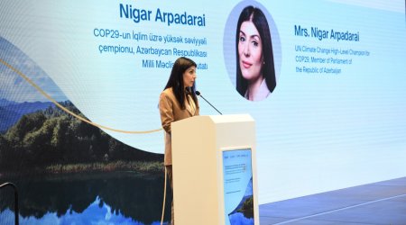 Nigar Arpadarai: Milli Məclisə seçkilərin yeganə \