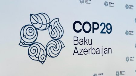 COP29 Akademiyasının rəsmi açılış mərasimi KEÇİRİLİB