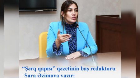 Gəlin qələmimizi baltaya çevirməyək!