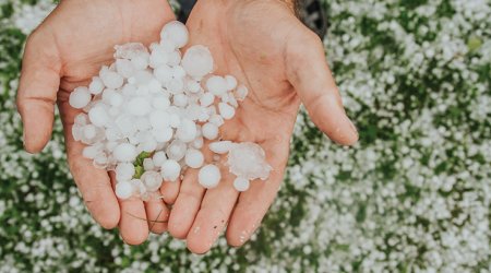 Tovuza güclü dolu yağdı – FOTO