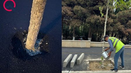 Bakıda bu küçədəki vəziyyət müzakirə yaratdı – FOTO