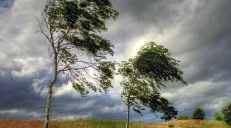 Hava məlumatları ilə bağlı əhaliyə xəbərdarlıq edildi