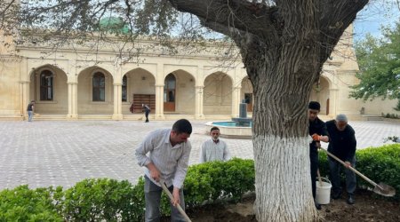 “Yaşıl gələcək naminə” aksiyası Sumqayıtda və Abşeronda davam etdirildi - FOTO