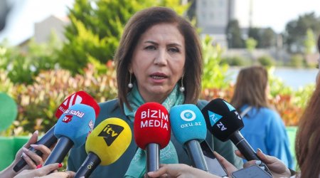 Bahar Muradova: “Ailə münasibətlərindəki problemləri maarifləndirmə ilə aradan qaldırmaq mümkün deyil”