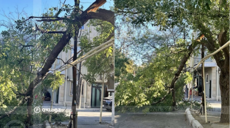 Bakının mərkəzində qırılan ağac YOLU BAĞLAYIB - FOTO/VİDEO