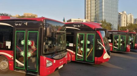 Bakıda fəaliyyət göstərən avtobusların sayı AÇIQLANDI