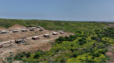 Cəbrayıl və Füzuli rayonlarında yeni yaşıllıqlar SALINACAQ