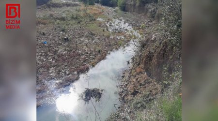 Lənkəranda torpaq sürüşməsi: Evlər təhlükə altında – FOTO