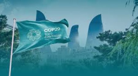 COP29-un rəsmi yayım şirkətinin adı AÇIQLANDI